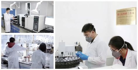 六五環境日|中科鼎實沖鋒在前，以技術創新守護綠水青山